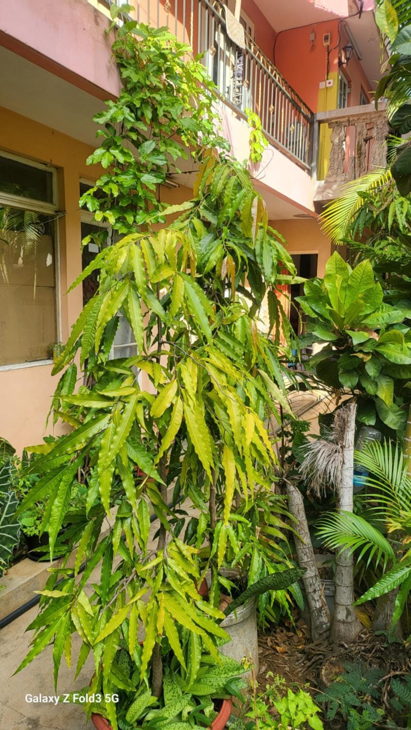 Chambre Studio Bas Prix Bed and Breakfast in Mauritius
