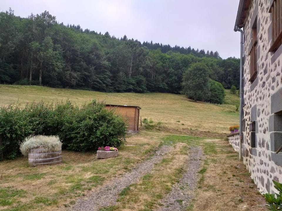 Natural landscape