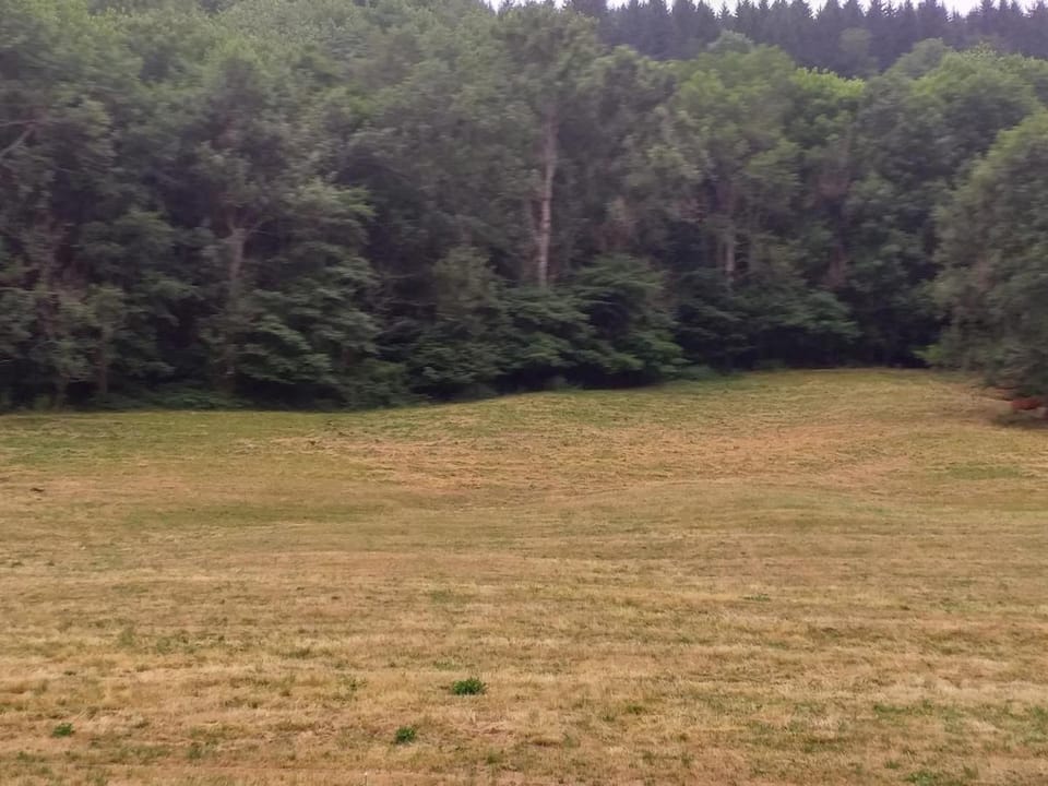 Natural landscape