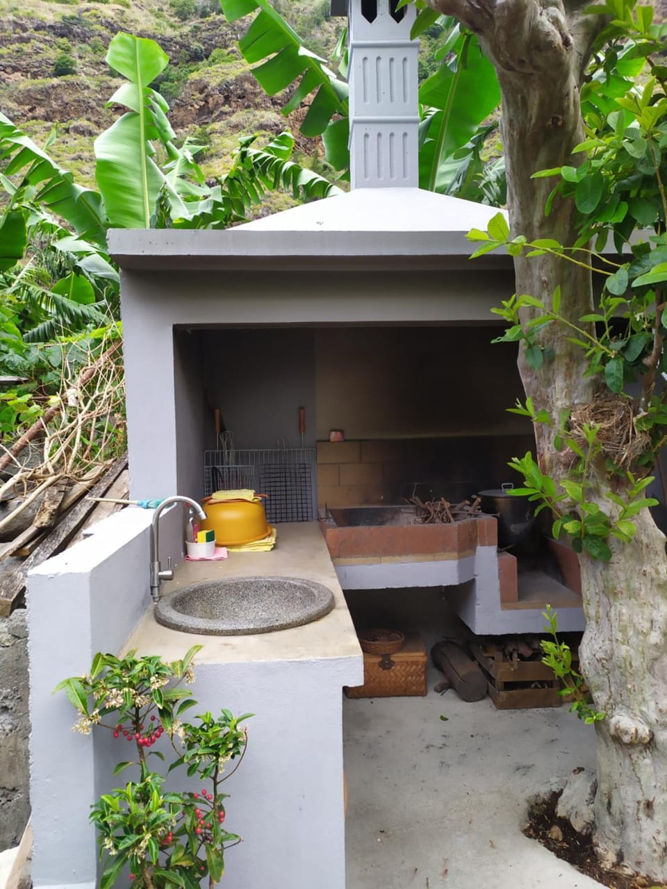 BBQ facilities, Garden, Garden view
