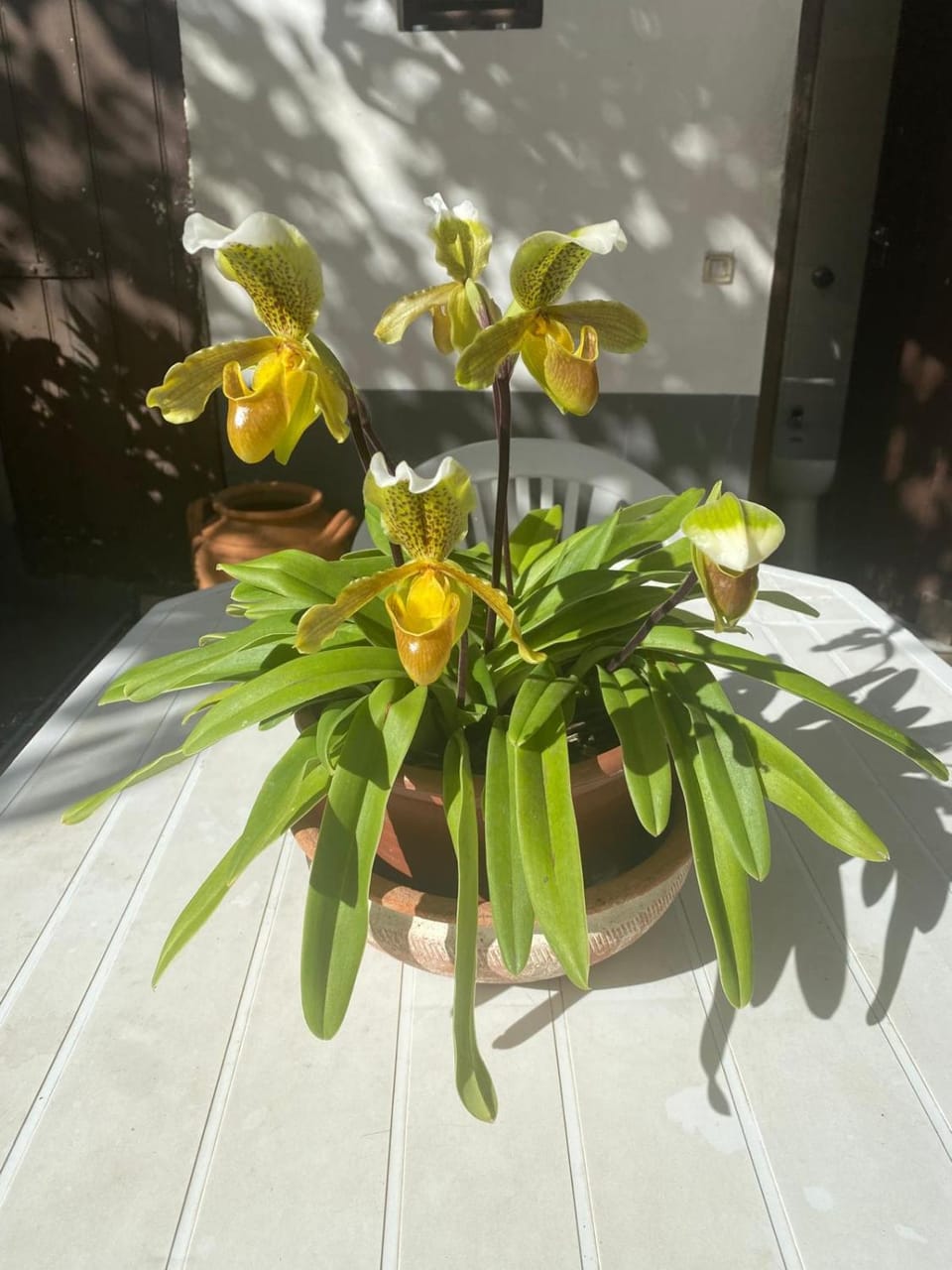Spring, Garden, Garden view