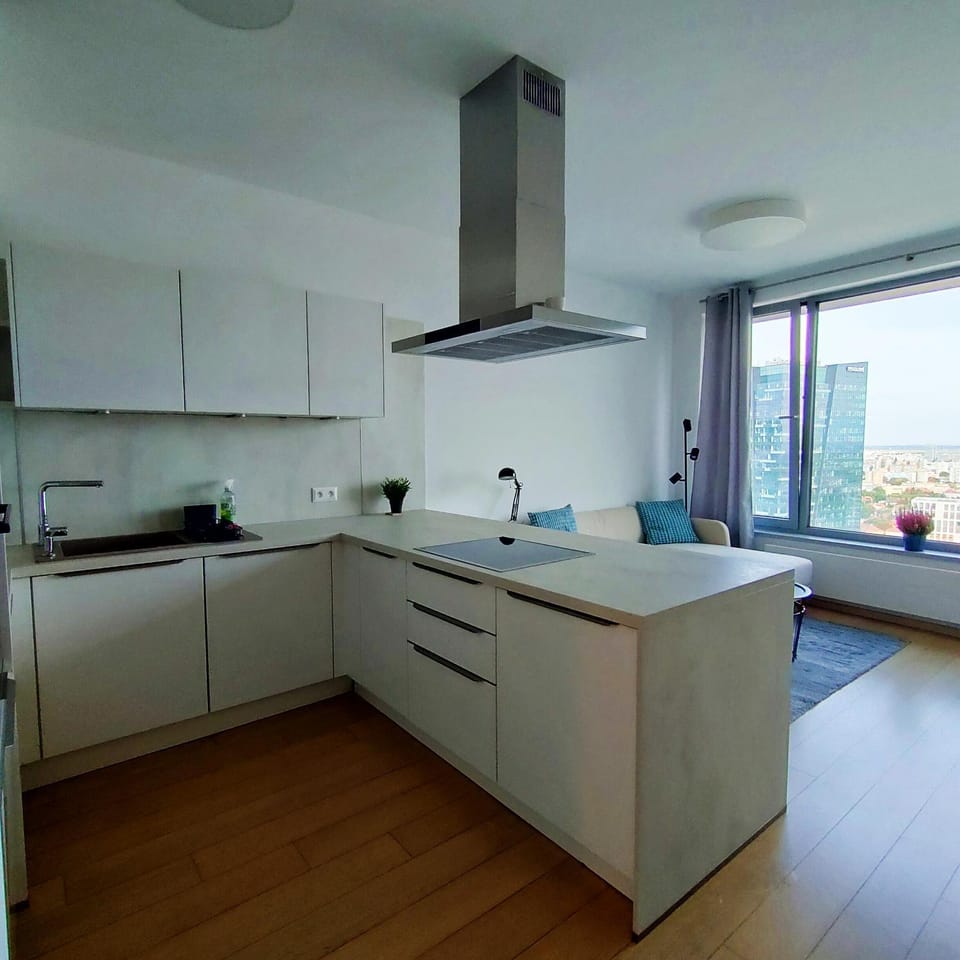 Kitchen or kitchenette, dishwasher, stove