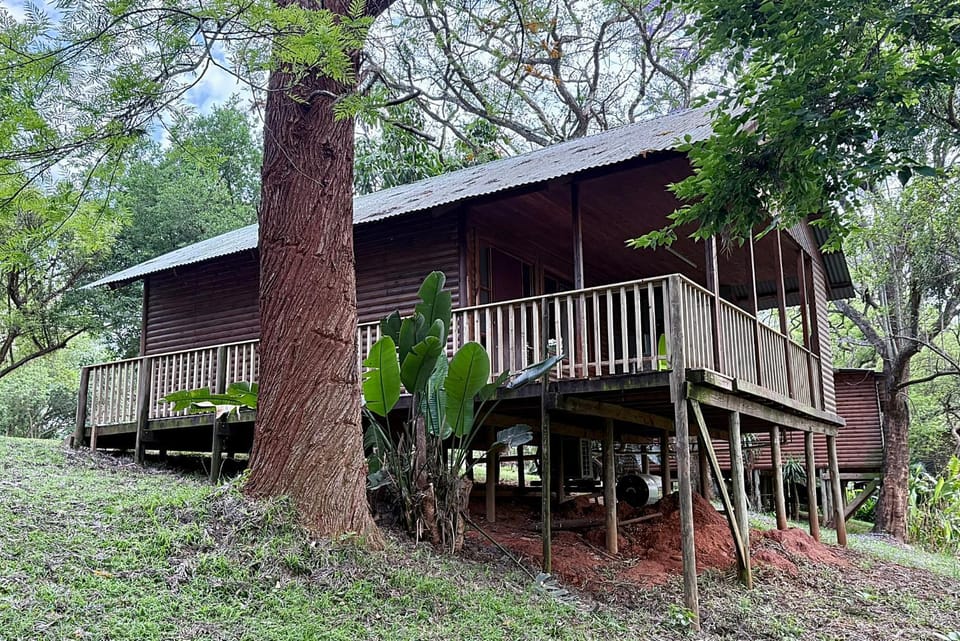 Property building, Day, Garden, Garden view