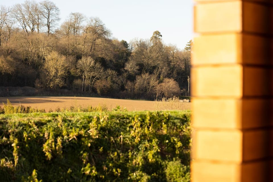 Natural landscape, Garden, Garden view