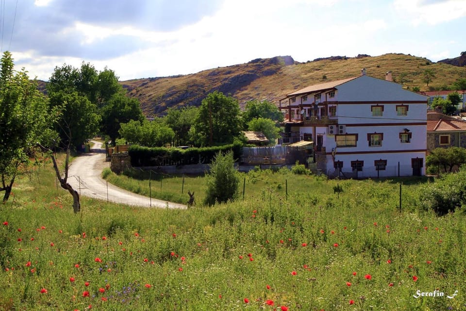 Property building, Spring