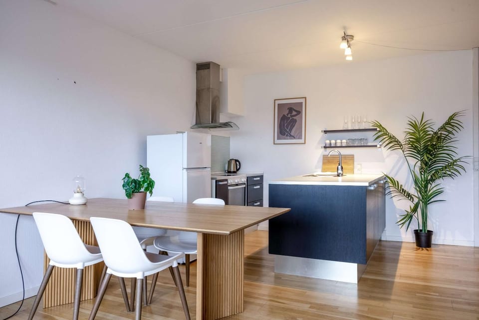 Frederiksberg stunning apartment Apartment in Frederiksberg