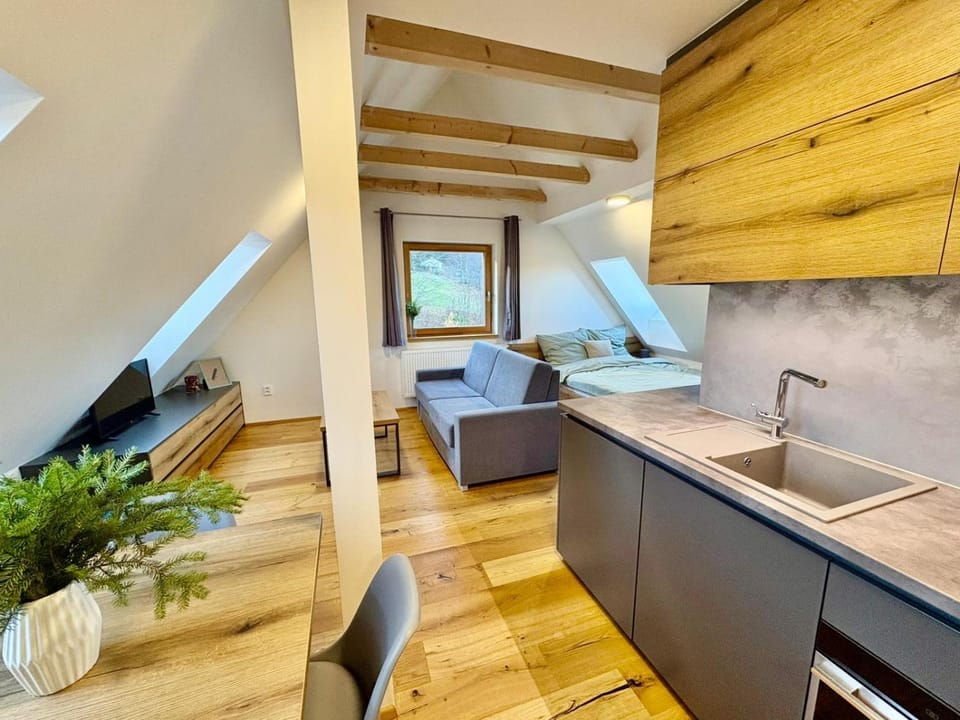 Kitchen or kitchenette, Living room, Photo of the whole room