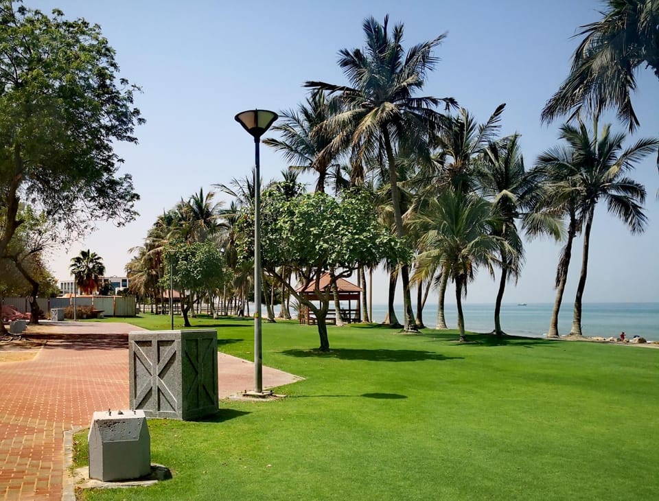 Garden, Beach, Garden view, Sea view
