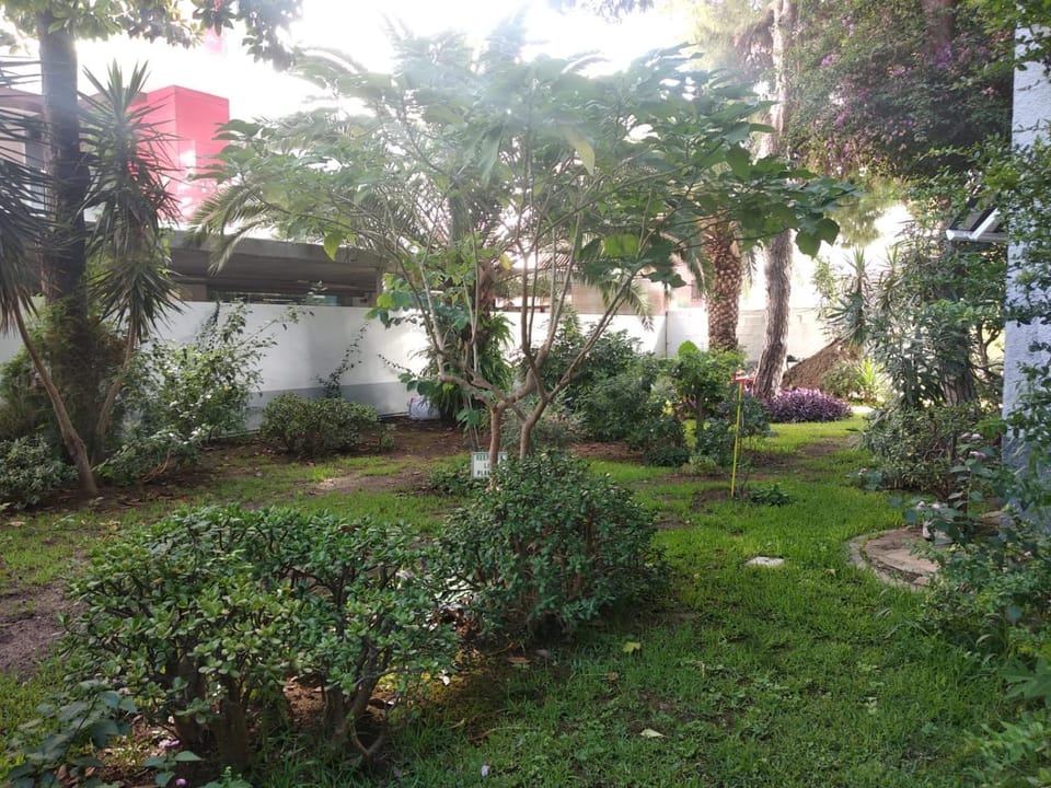 Property building, Garden