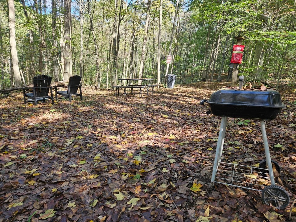 BBQ facilities, Seating area, Dining area