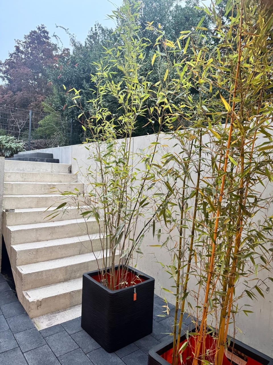 Exclusive basement apartment with terrace Apartment in Krefeld