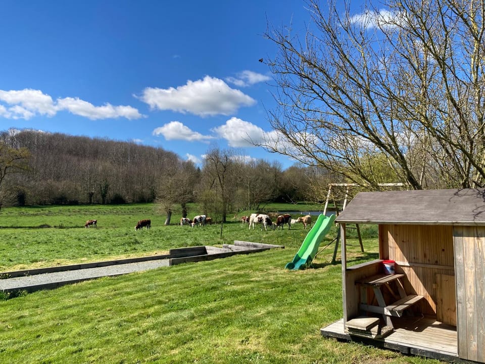 Natural landscape, Children play ground, Garden, Garden view
