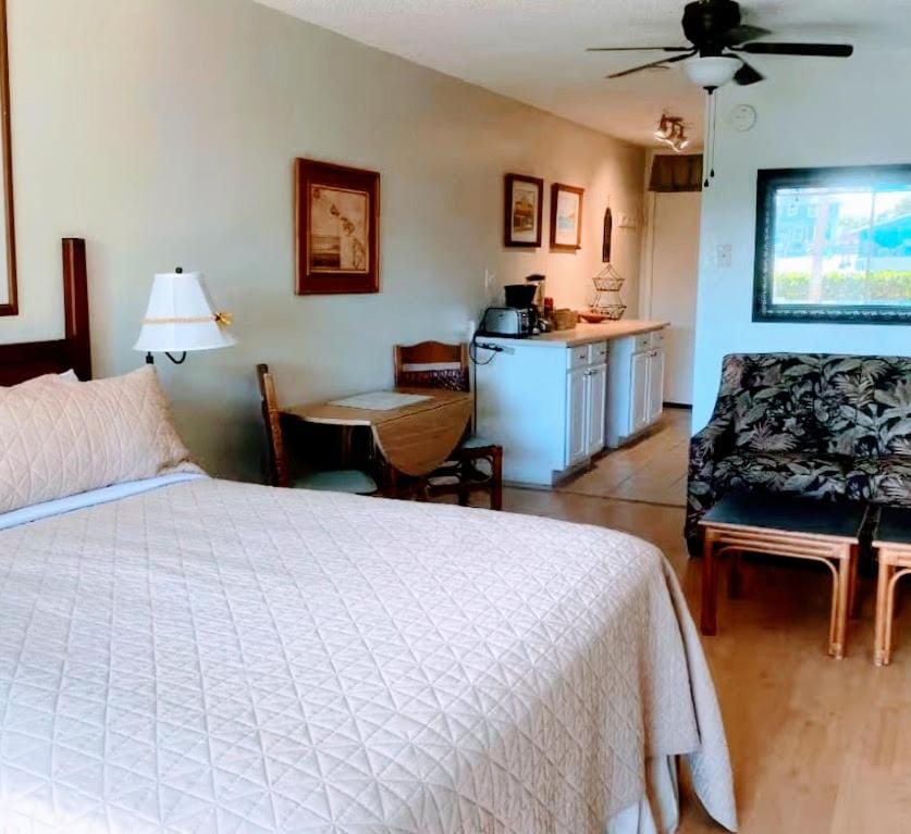 Ocean view studio 1k ft from water Apartment in Kihei