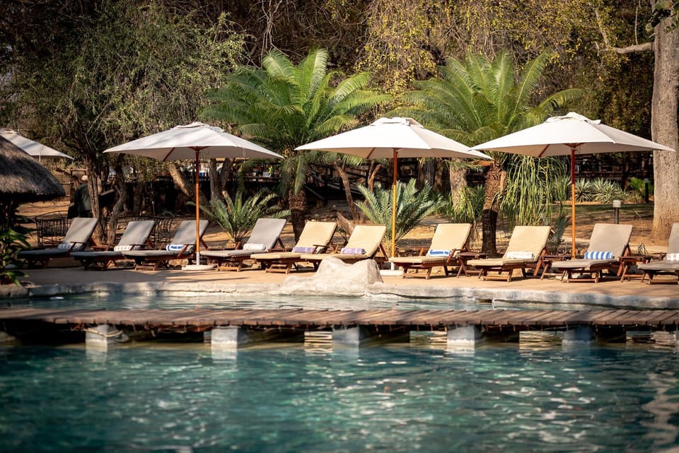 Day, Garden, Pool view, Swimming pool, sunbed
