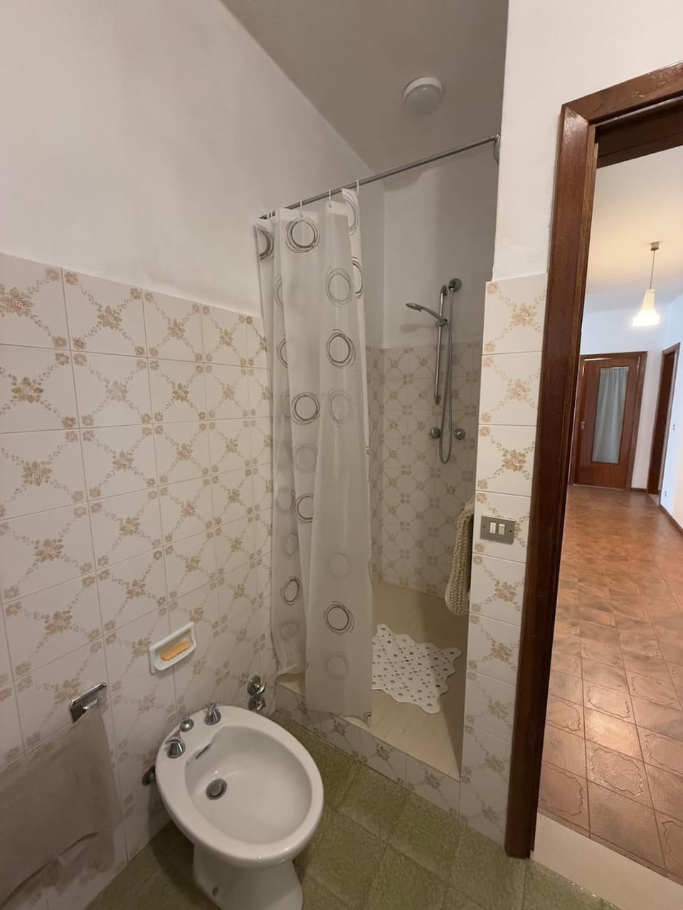 Shower, Bathroom, bidet