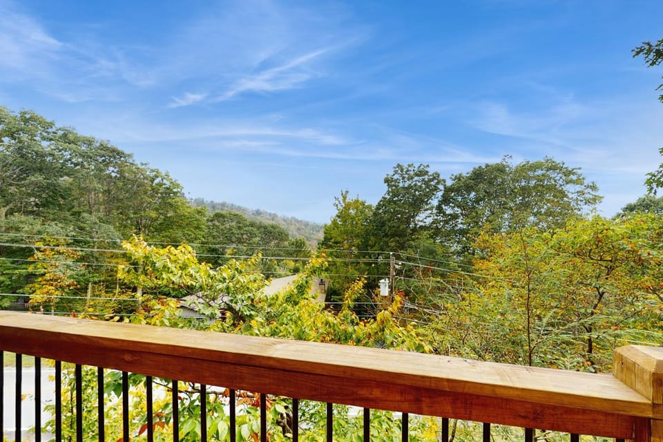 Tree Top Cabin Cabin in Beech Mountain