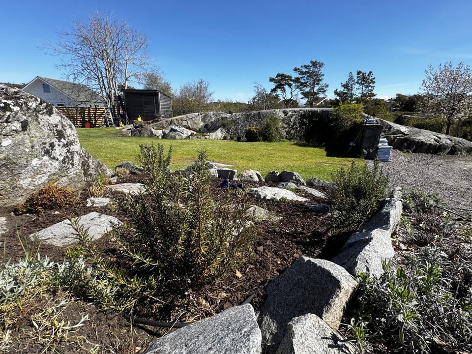 Patio, Garden, Garden view