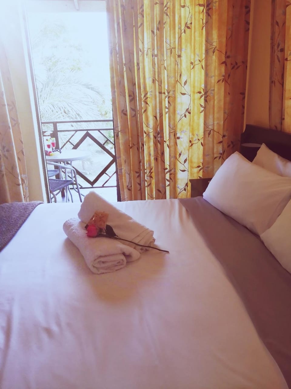 Palm Gardens Guesthouse Bed and Breakfast in KwaZulu-Natal