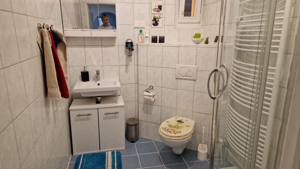 Toilet, Bathroom