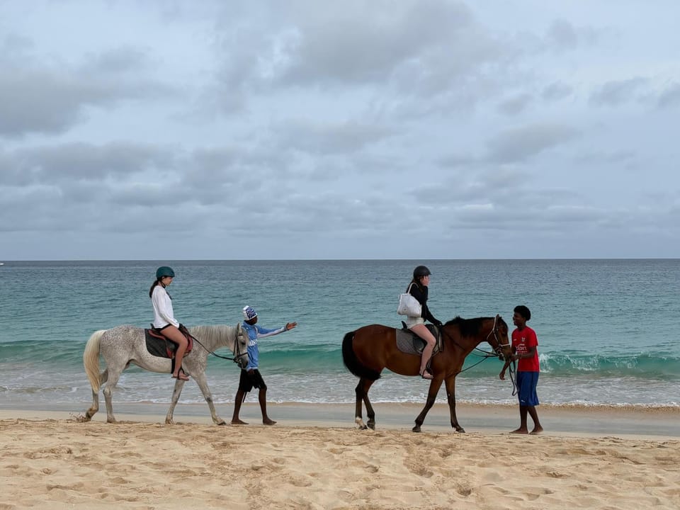 Natural landscape, Horse-riding, Beach