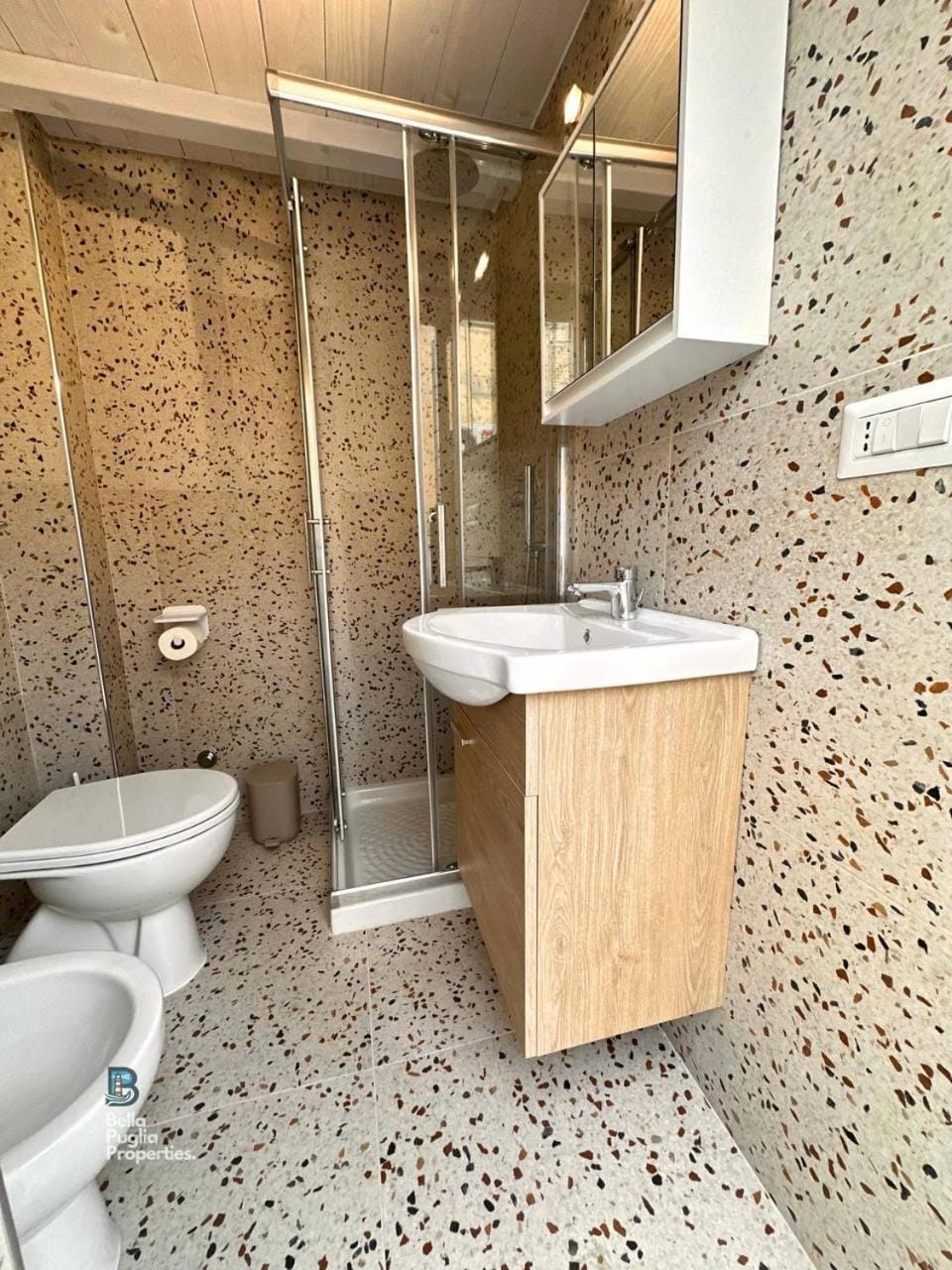 Shower, Toilet, Bathroom, bidet