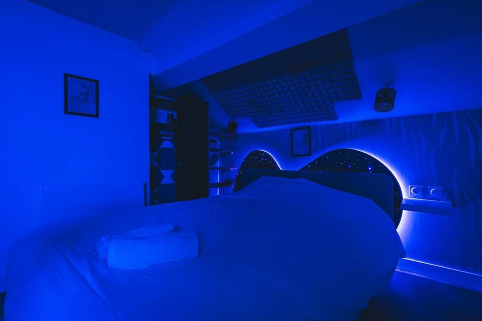 Loft Spa Sauna Hammam Hydromassage Apartment in Reims