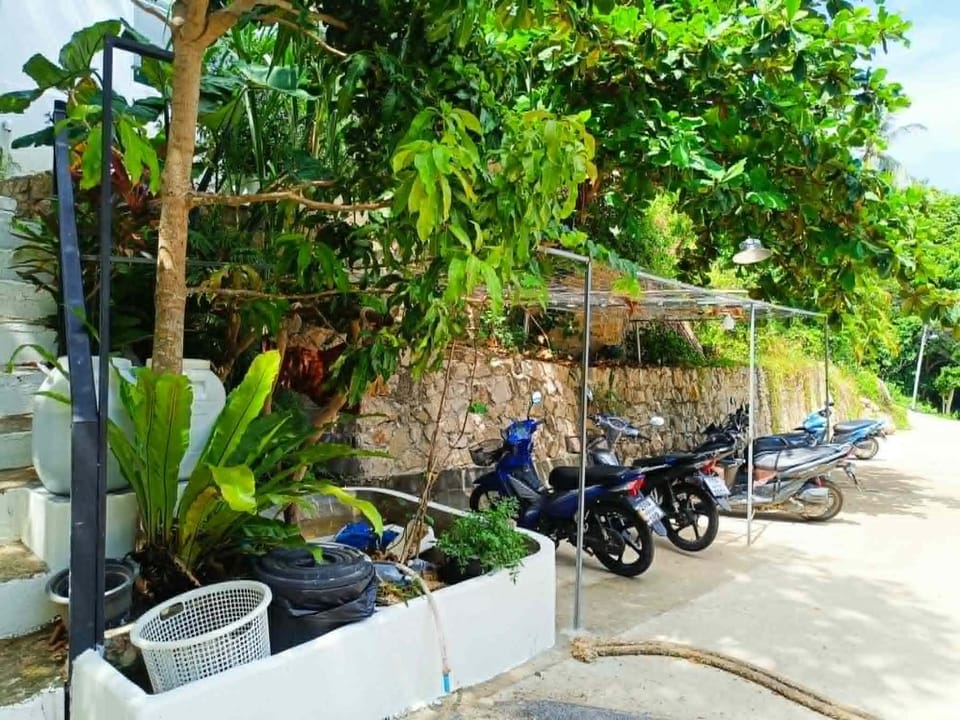 Garden view