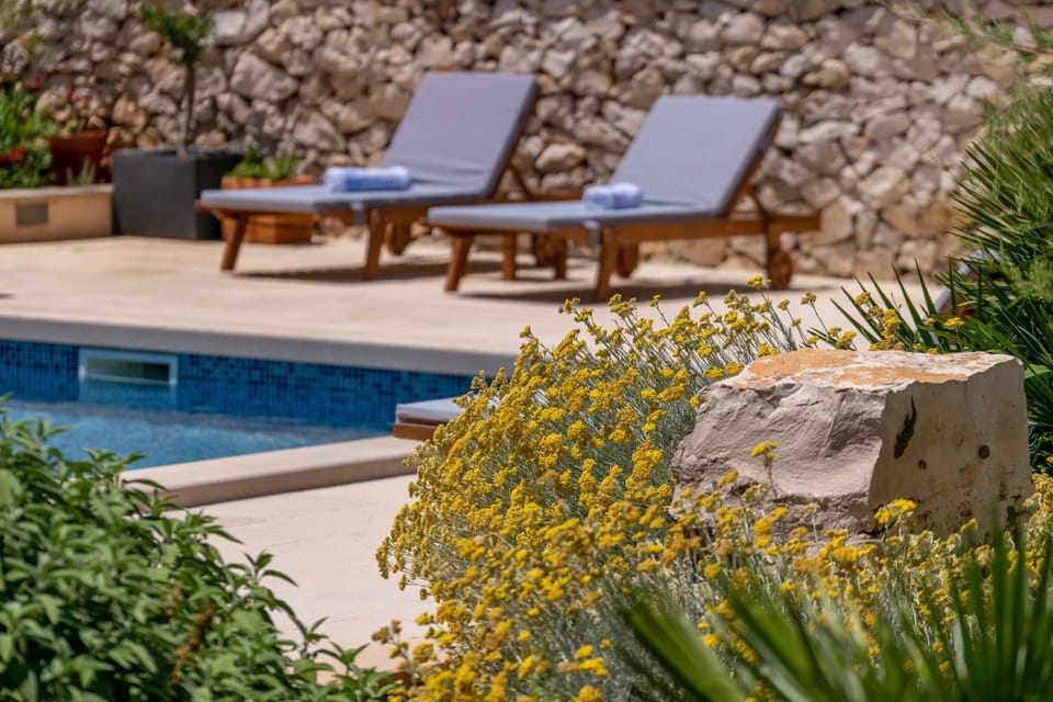 Garden, Swimming pool, sunbed