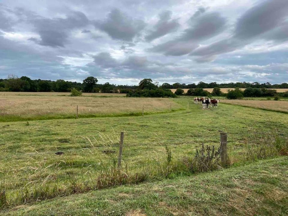 Luxury barn conversion near Southwold House in South Norfolk District