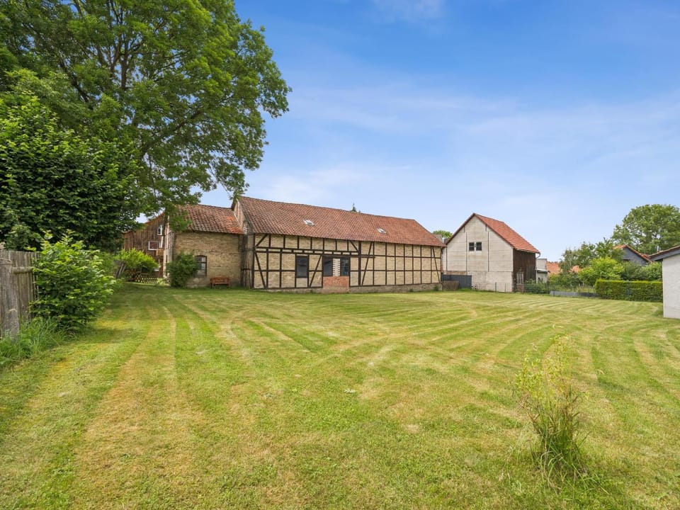 Summer, Garden