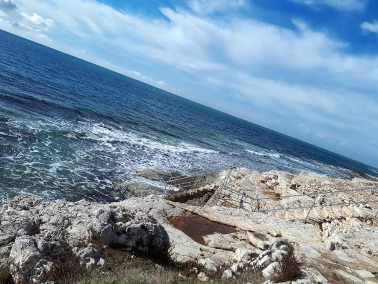 Natural landscape