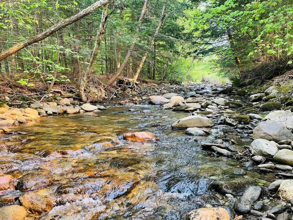 Geodome 1min to Smuggler's Notch with hot tub & River House in Cambridge