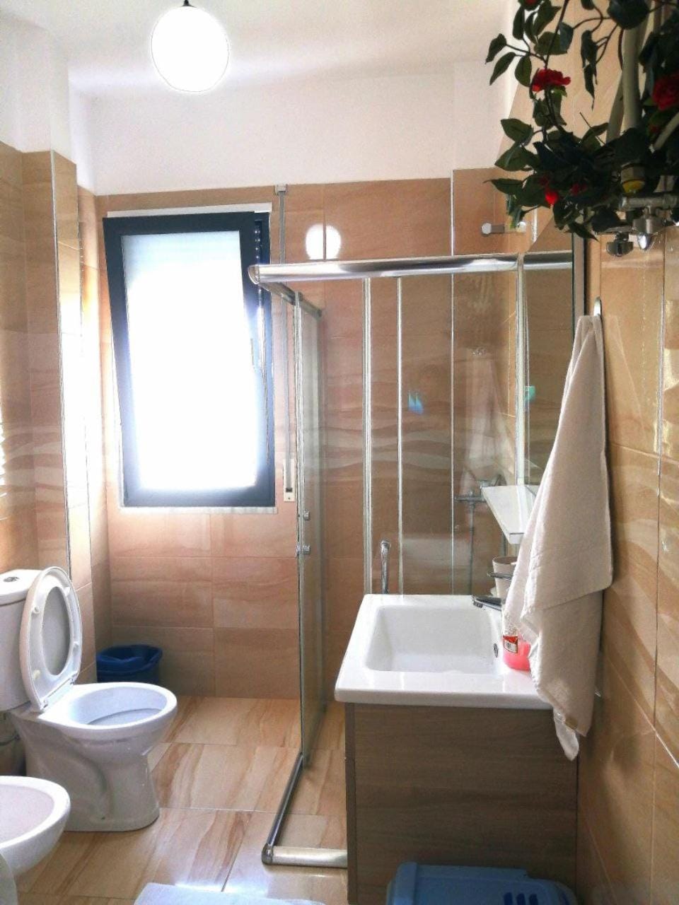 Coccinella Apartment in Tirana County, Albania