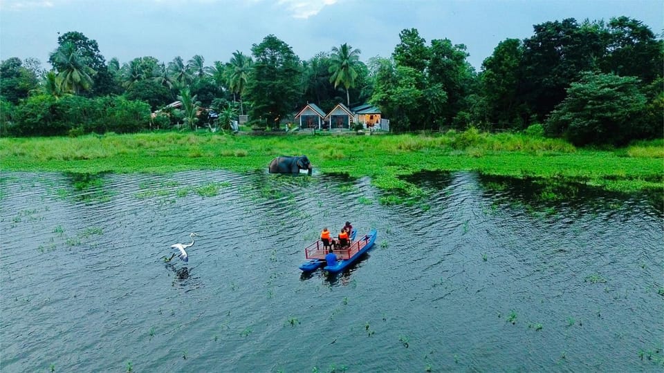 Natural landscape, Activities, Animals, Animals, Lake view