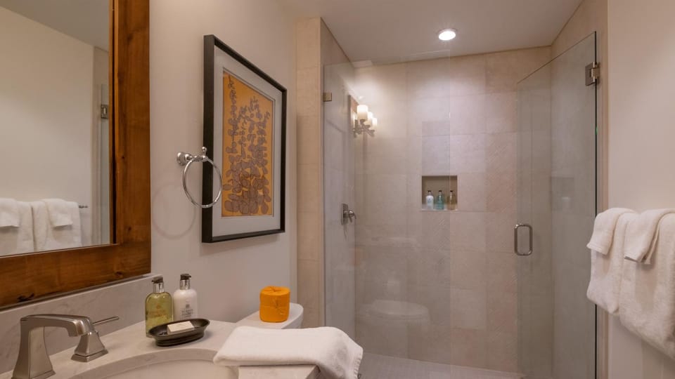 Shower, Toilet, towels