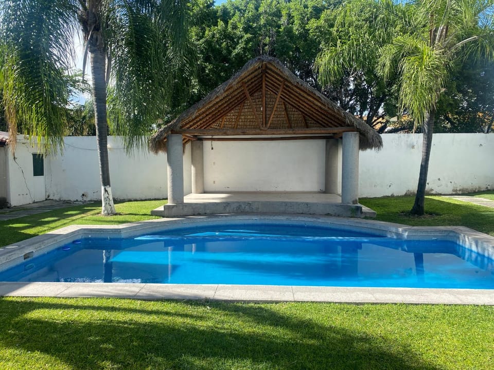 Garden, Garden view, Swimming pool