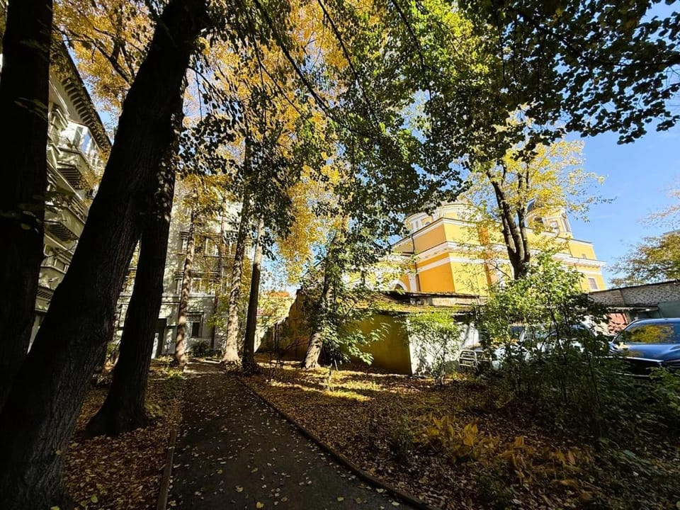 Garden, Garden view, Location, Inner courtyard view