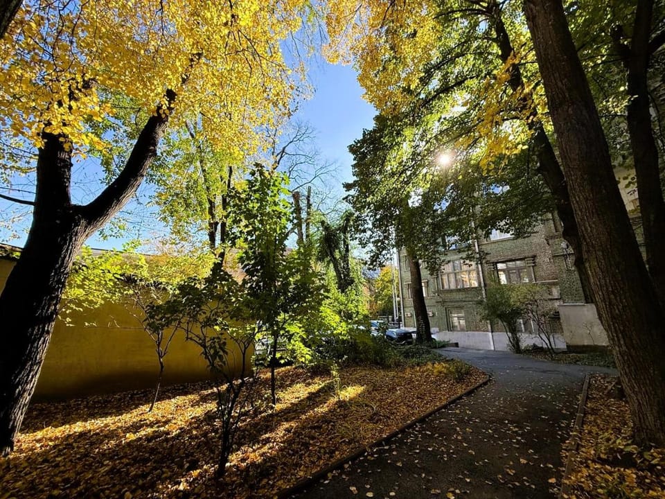 Garden, Location, Quiet street view