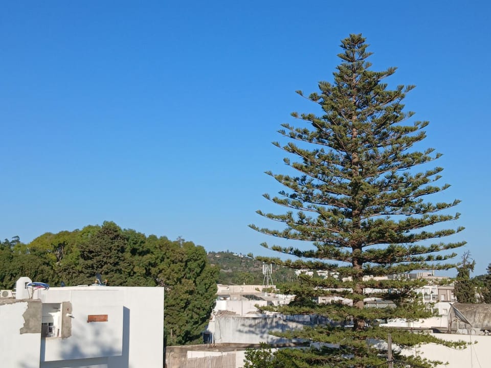 L'expérience Roof Top de La Marsa Bed and Breakfast in Tunis