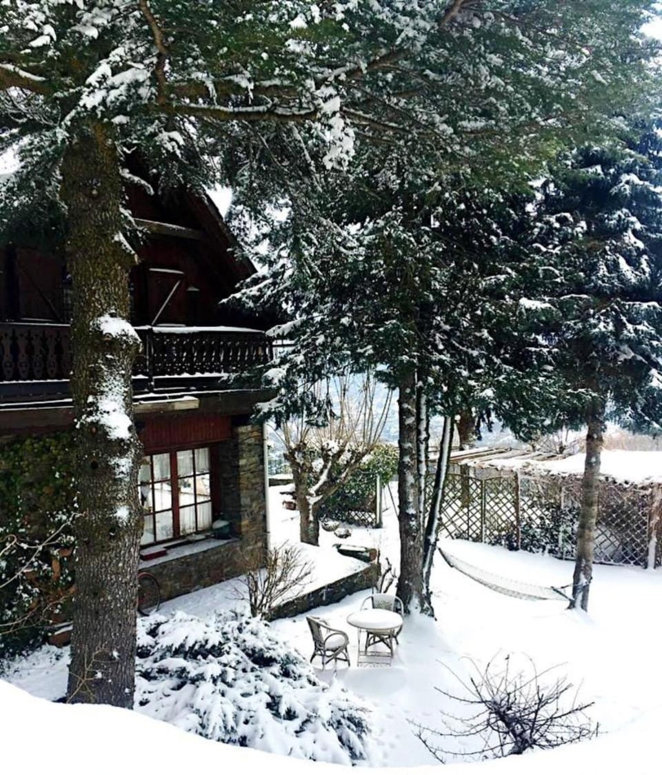 Property building, Winter, Garden