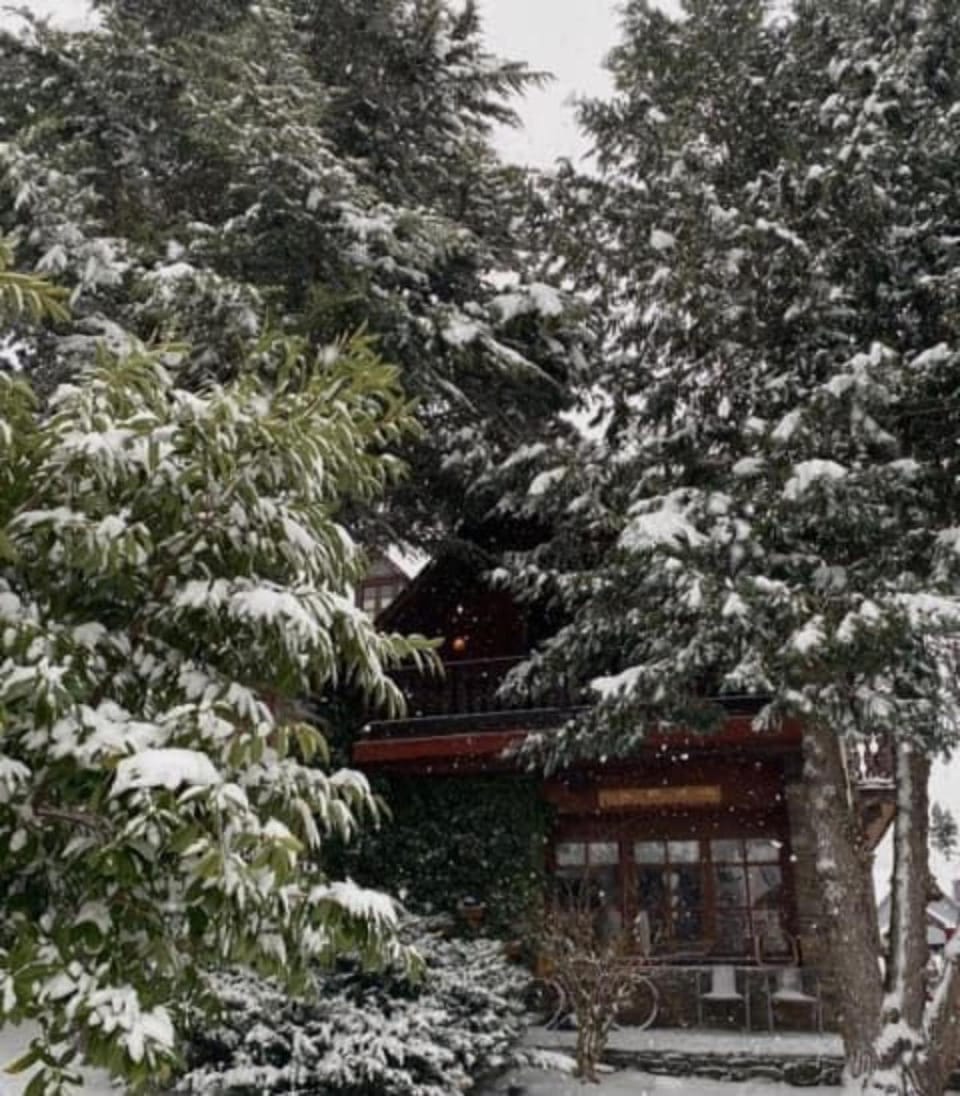 Property building, Winter