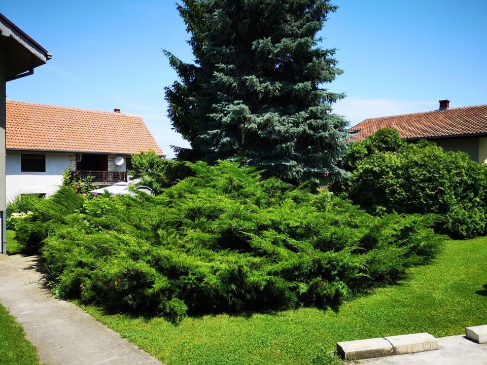 Property building, Decorative detail