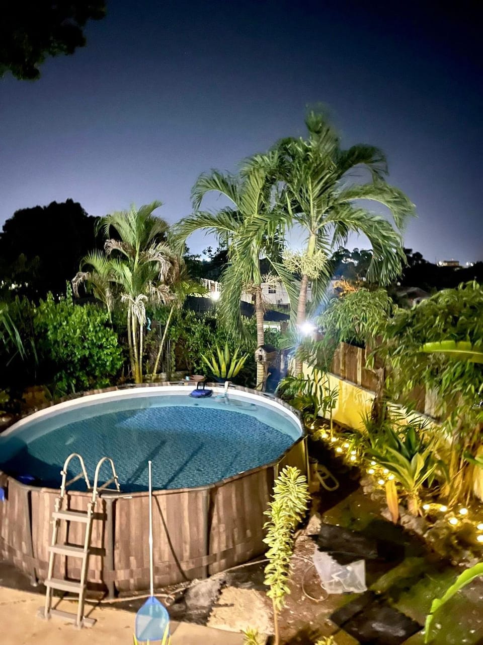 Summer, Garden, Swimming pool
