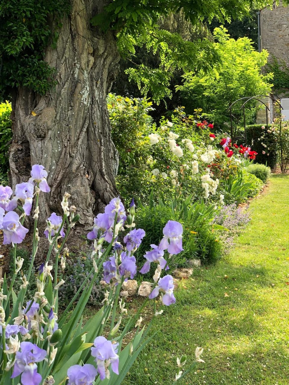 Garden view
