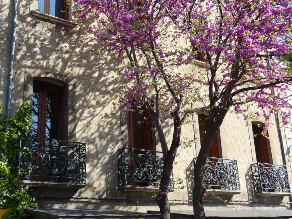Les Santolines Bed and Breakfast in Catalonia