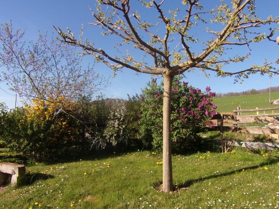 Gîte de campagne avec animaux acceptés près de Roanne - FR-1-496-376 House in Auvergne-Rhône-Alpes