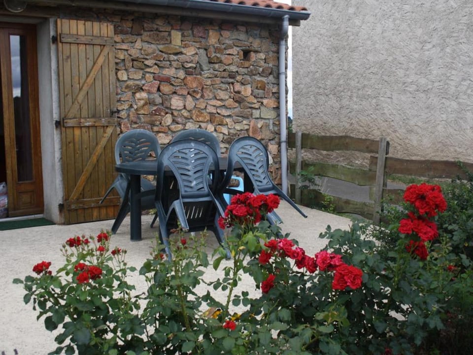 Gîte de campagne avec animaux acceptés près de Roanne - FR-1-496-376 House in Auvergne-Rhône-Alpes