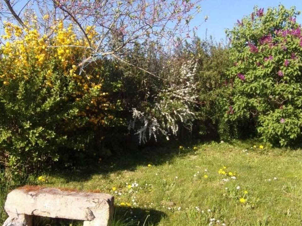 Gîte de campagne avec animaux acceptés près de Roanne - FR-1-496-376 House in Auvergne-Rhône-Alpes