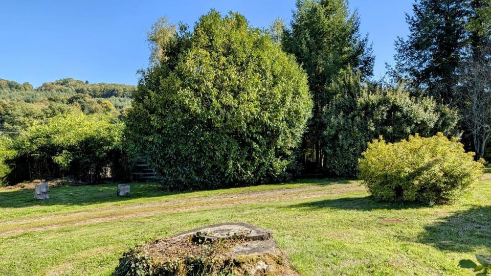 Maison du cèdre House in Nouvelle-Aquitaine