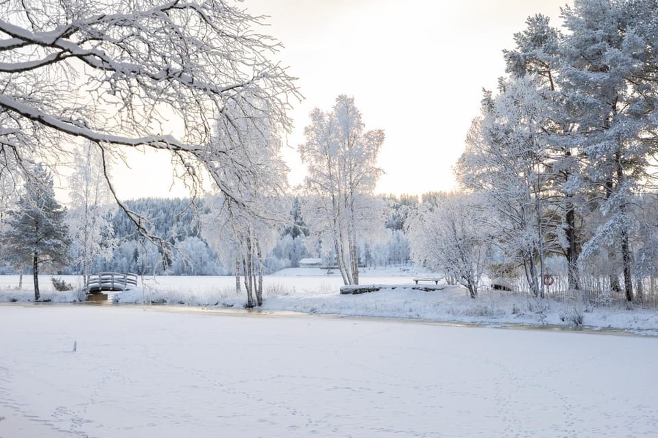 Natural landscape, Winter